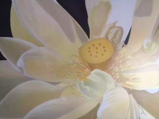 “White Lotus”